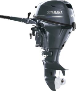 2025 Yamaha F20SWPB